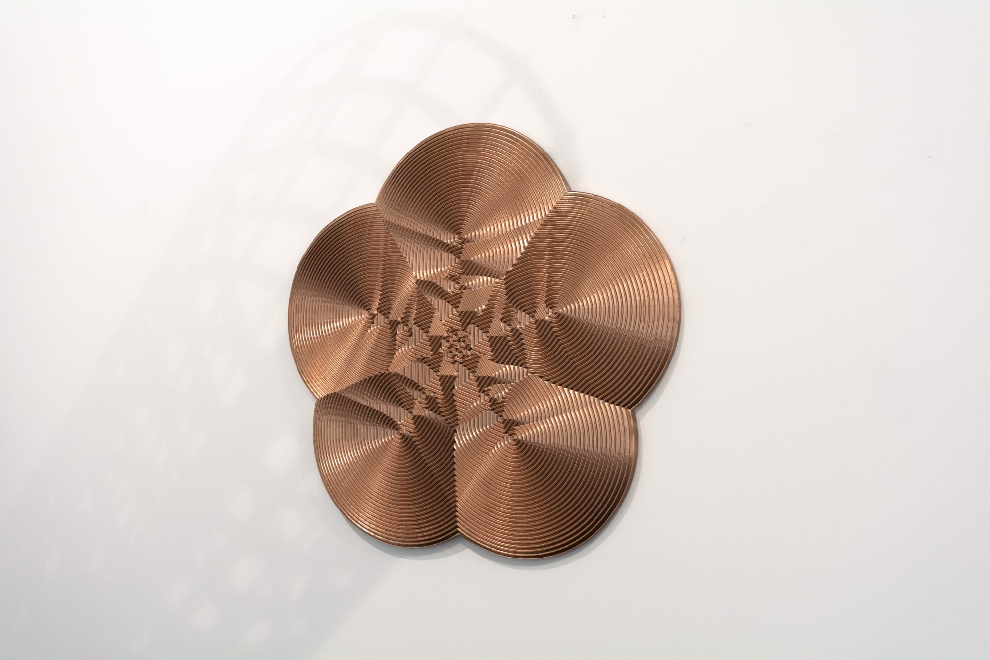 Roger Murray | Anomaly