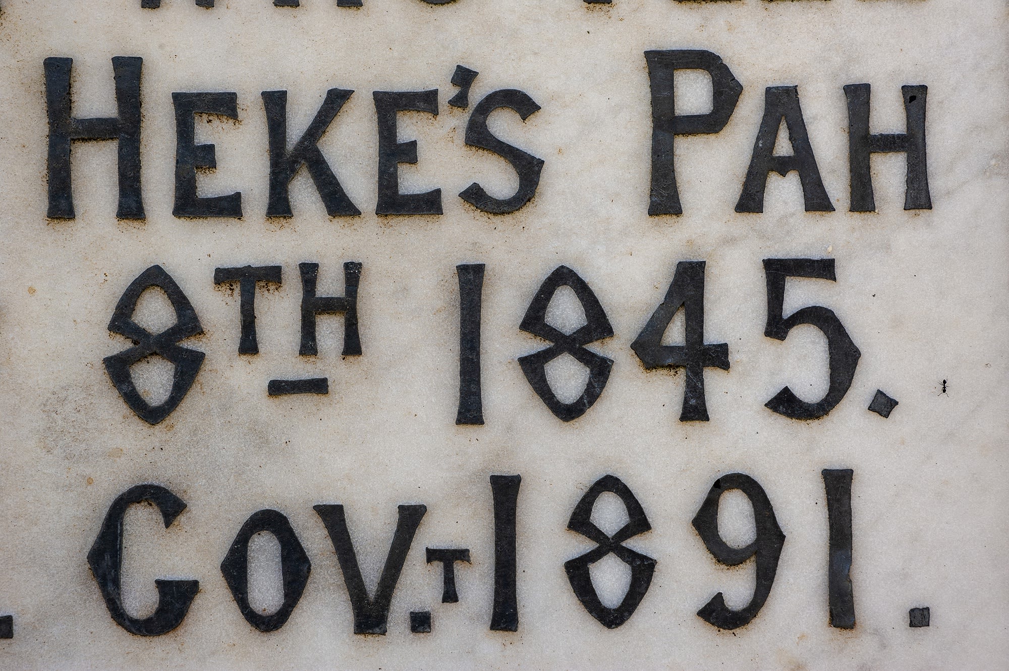 Bruce Connew | Wayne Youle | Richard Lewer | Neil Pardington