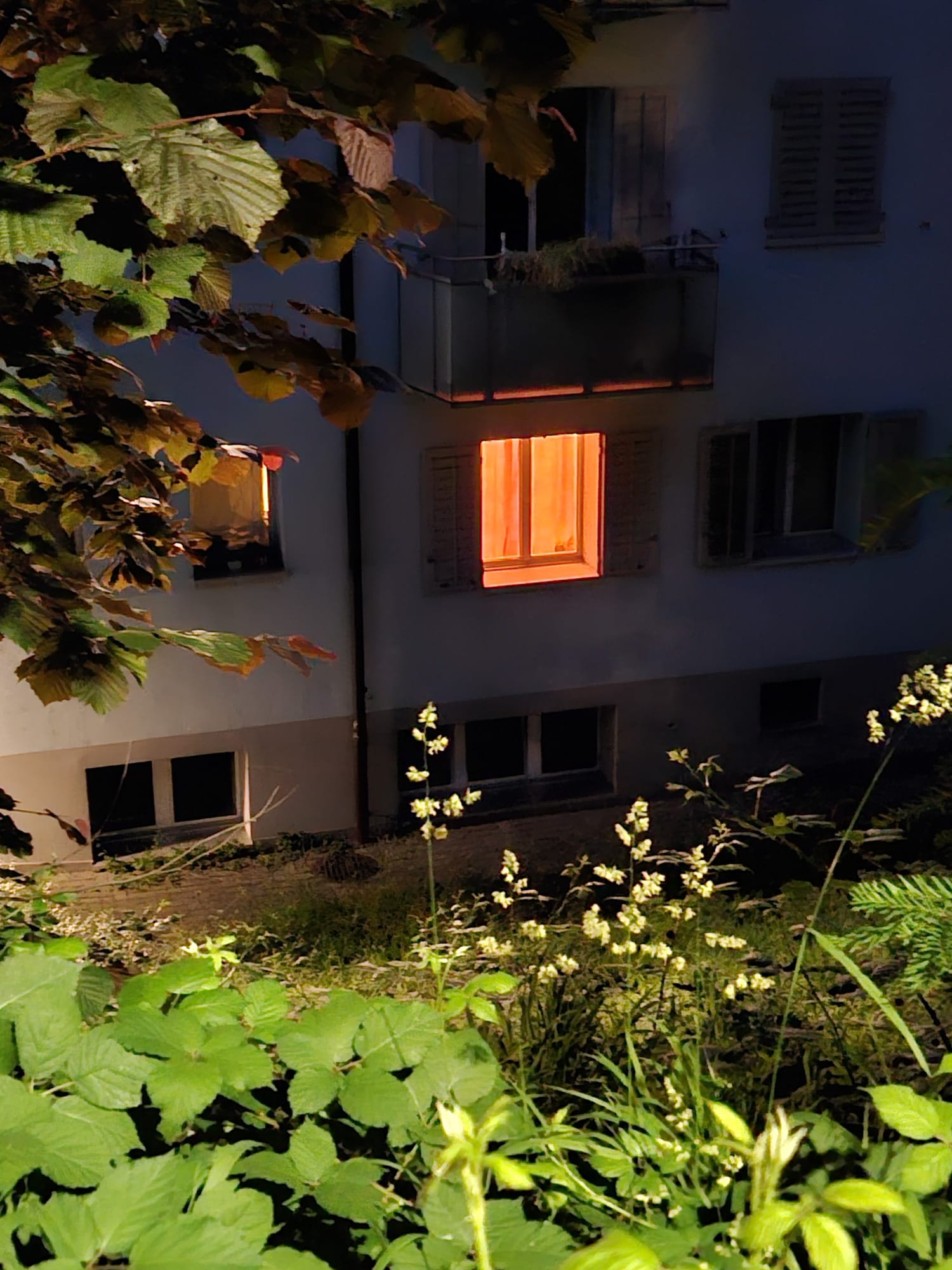 Rob Cherry | New Year New Me