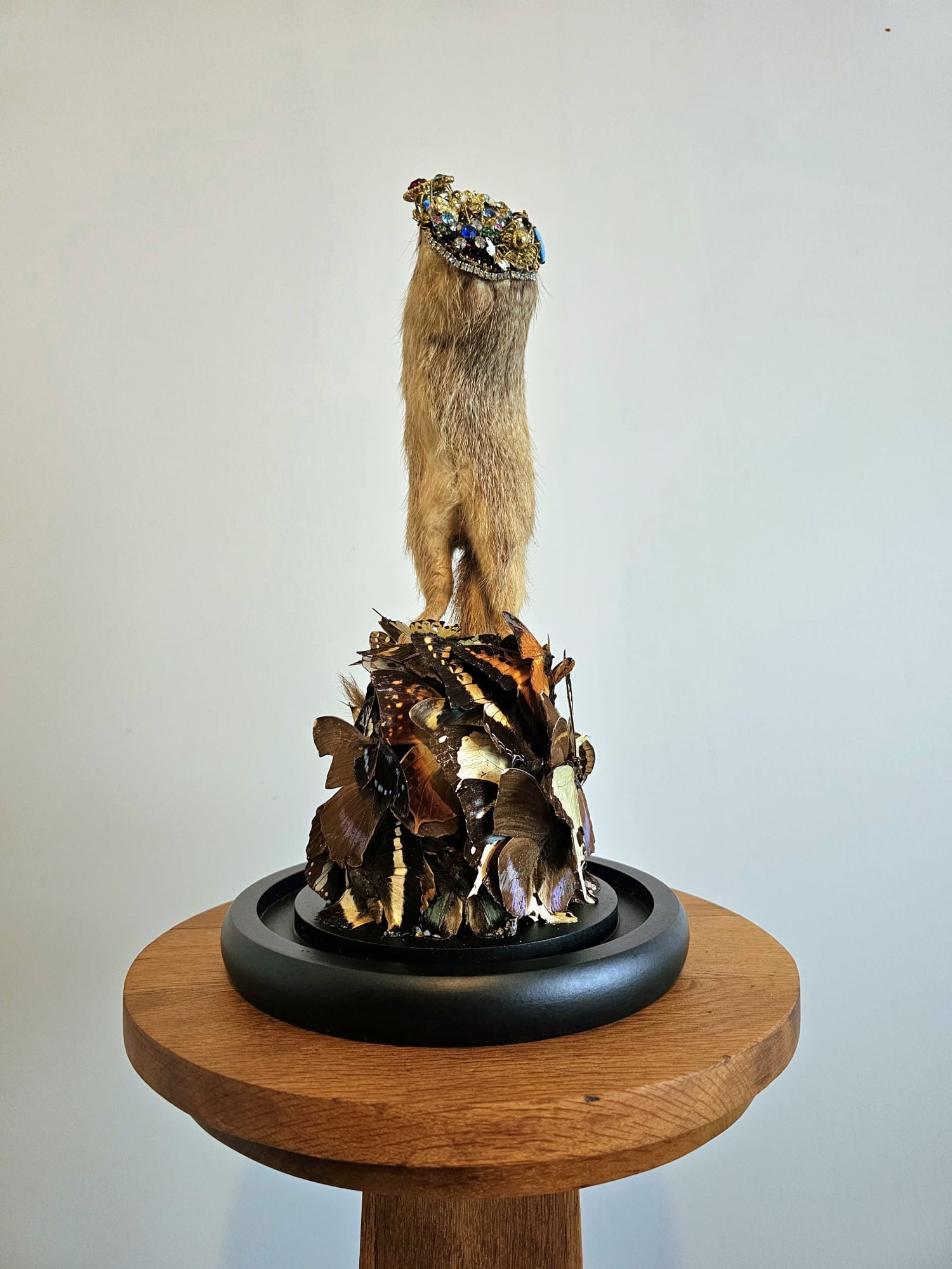 {Suite} Aotearoa Art Fair 2025 | Stand G32