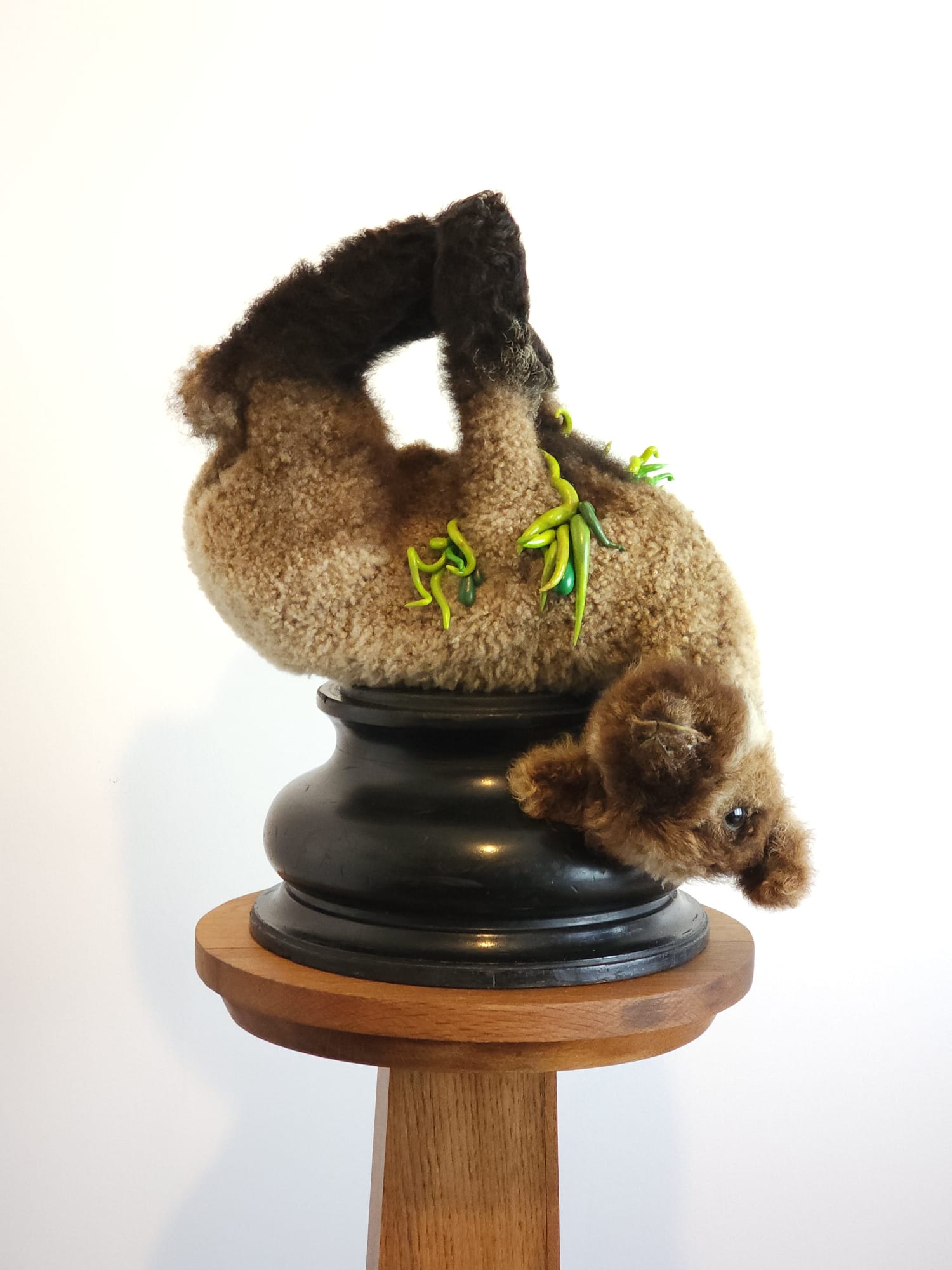 {Suite} Aotearoa Art Fair 2025 | Stand G32