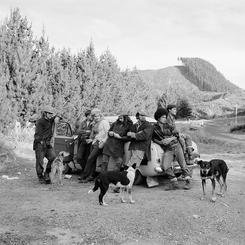 {Suite} Aotearoa Art Fair 2025 | Ans Westra | Stand G32