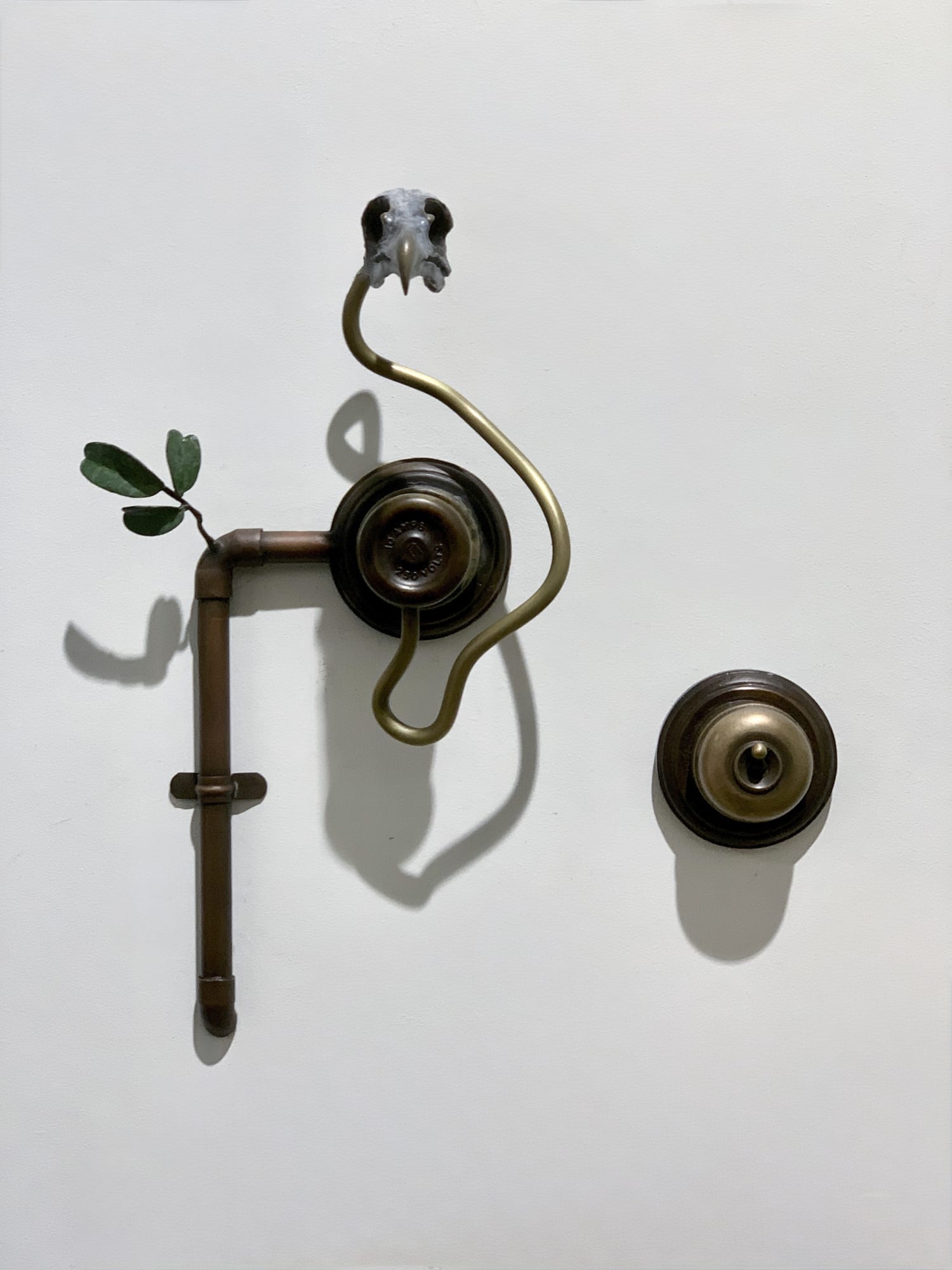 Jonathan Campbell | Parlour Wall