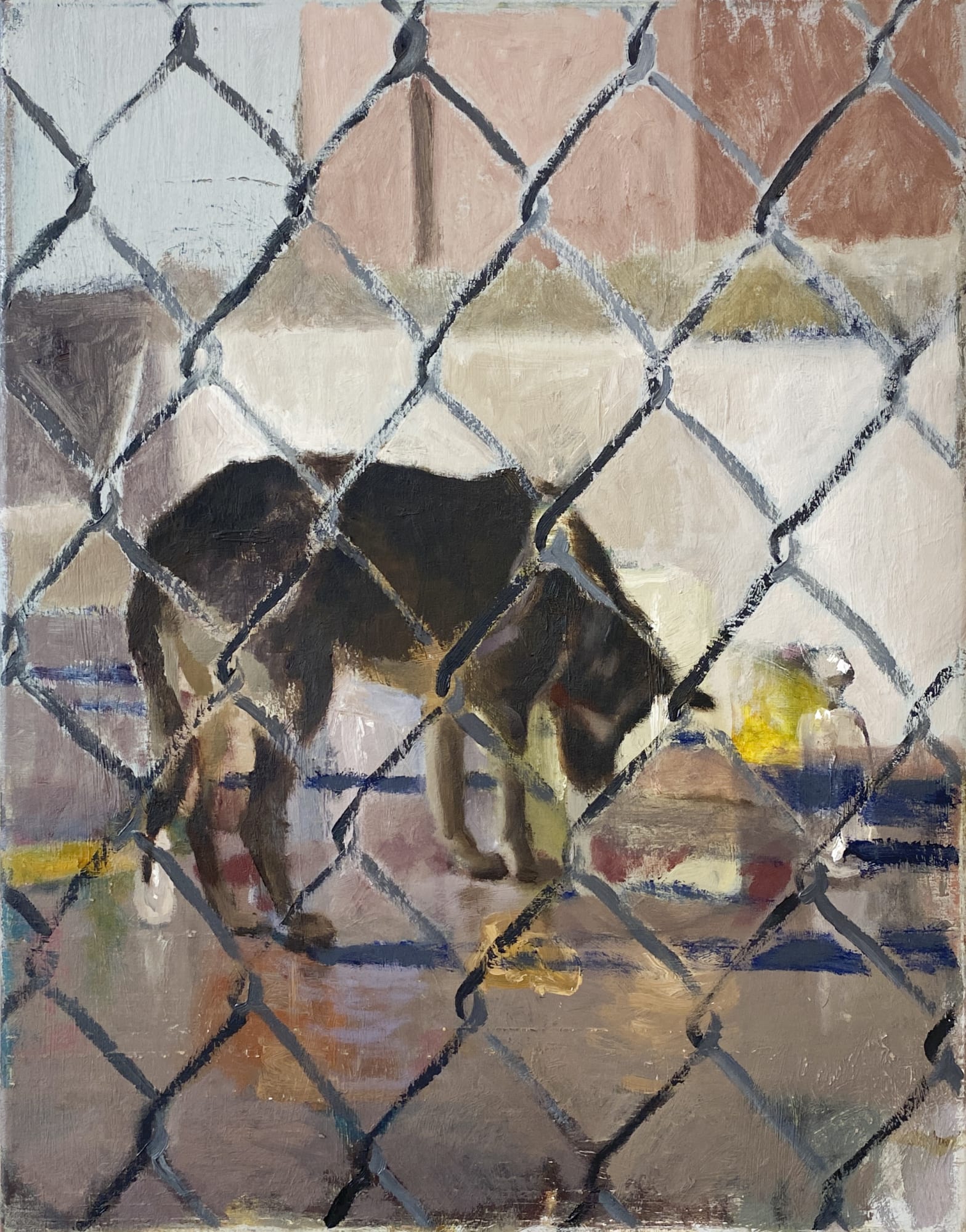 Chloe Summerhayes | Richard Elderton