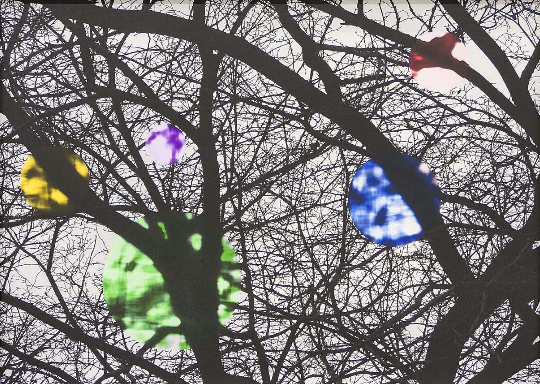 {Suite} Summer Series