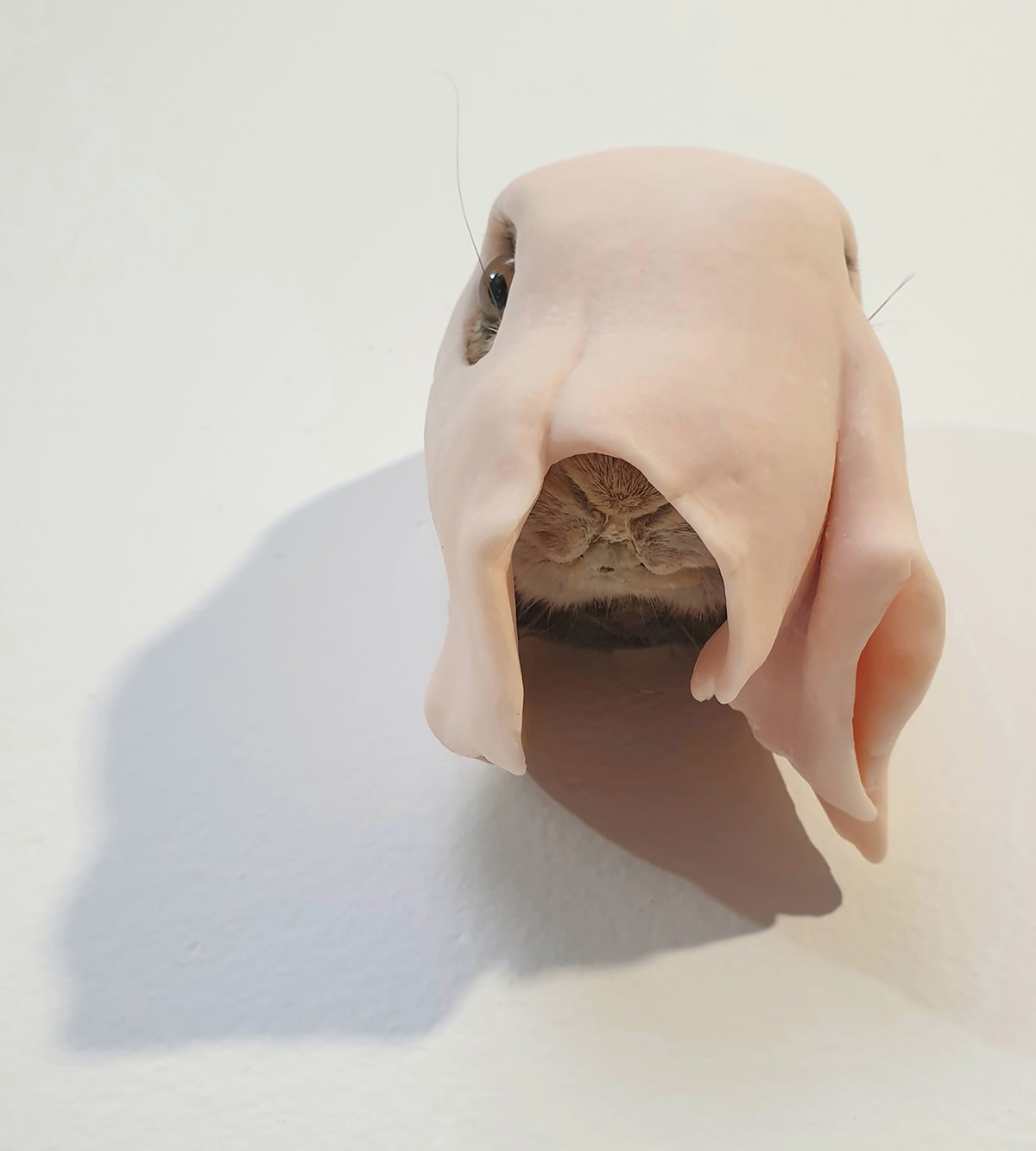 Angela Singer | Who What Was