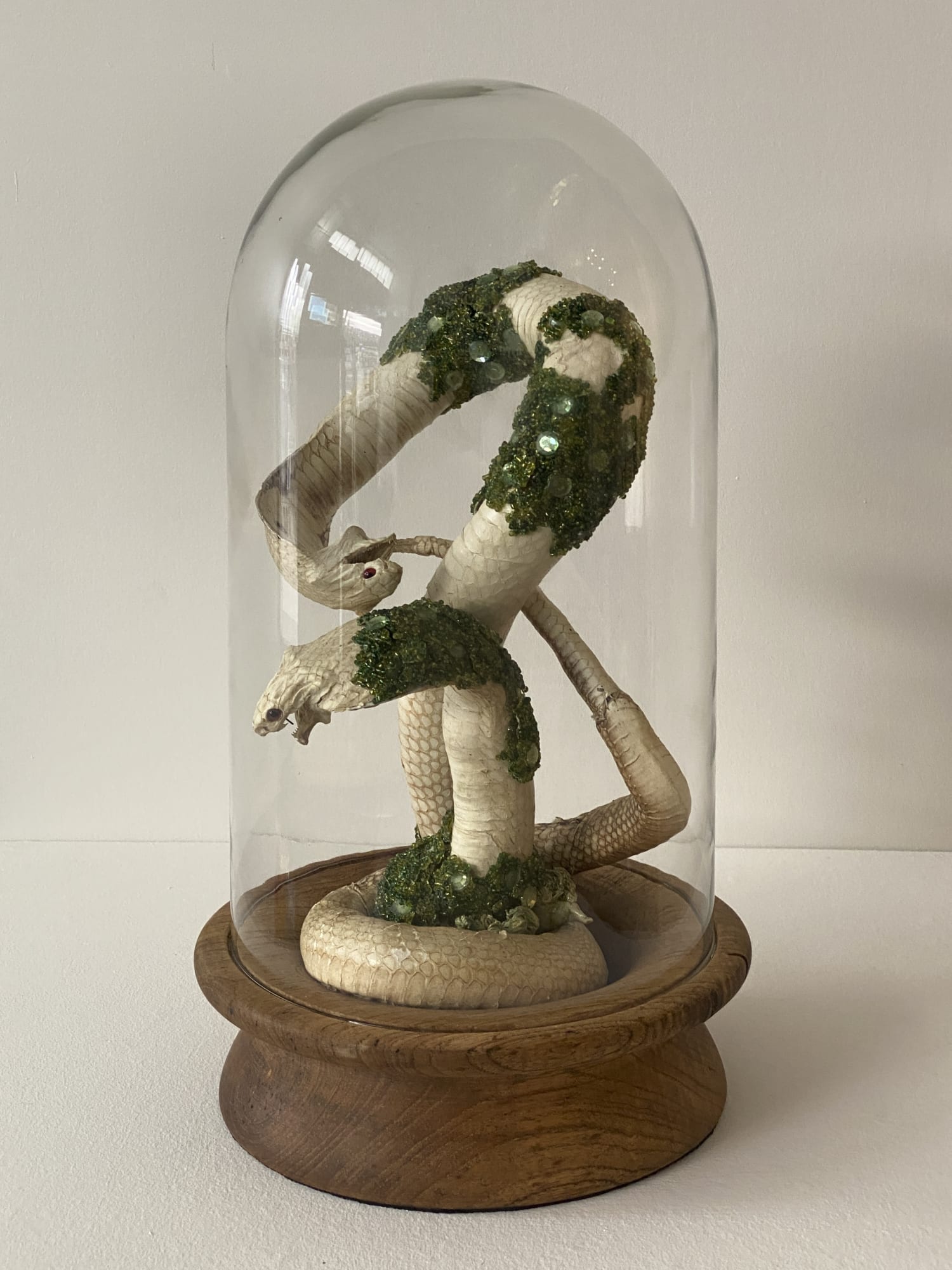 Angela Singer | Imagine What You Dread