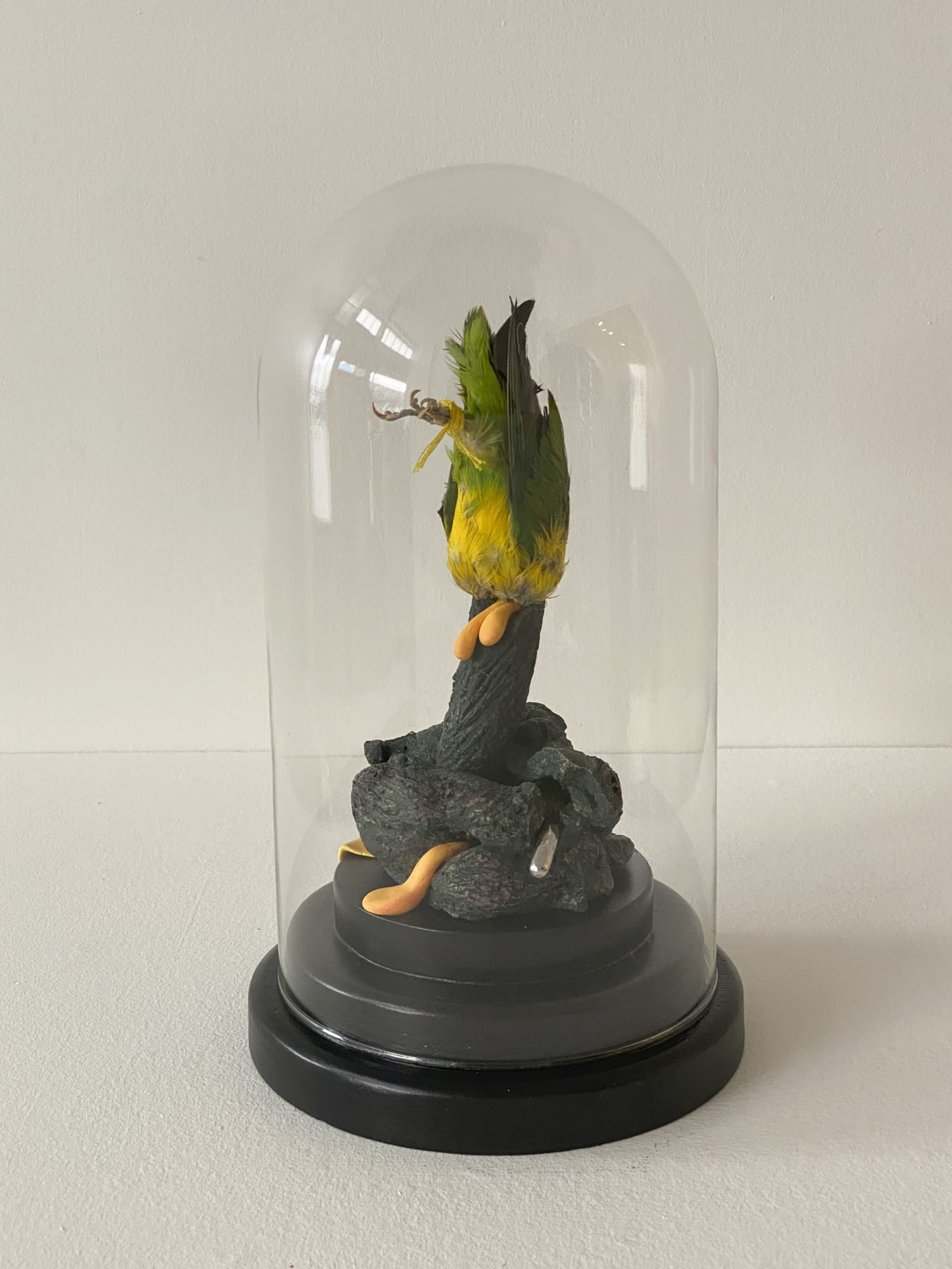 Angela Singer | Imagine What You Dread