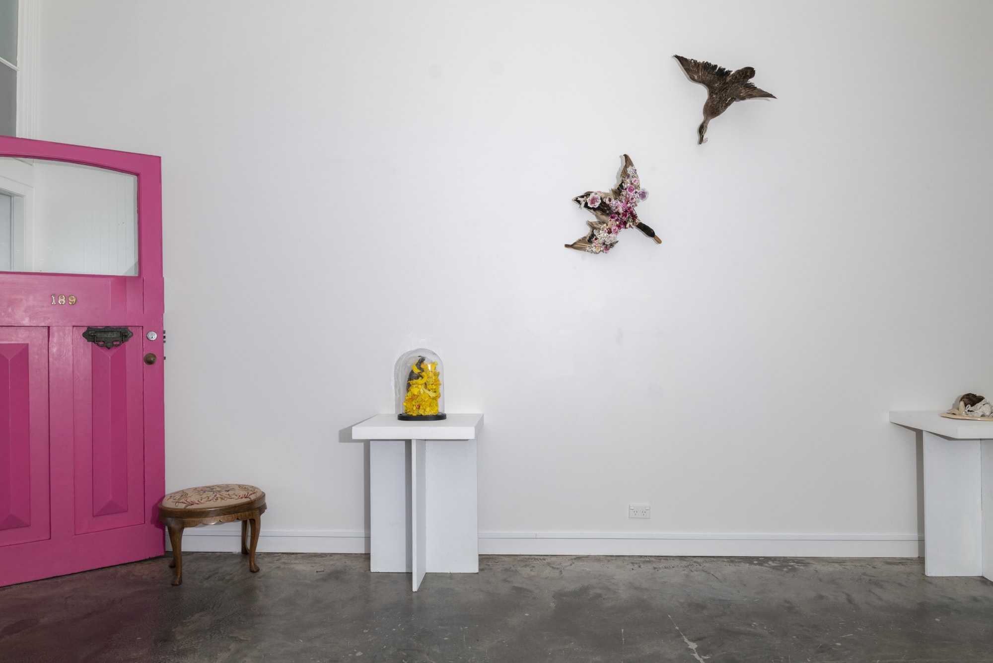 Angela Singer | Imagine What You Dread