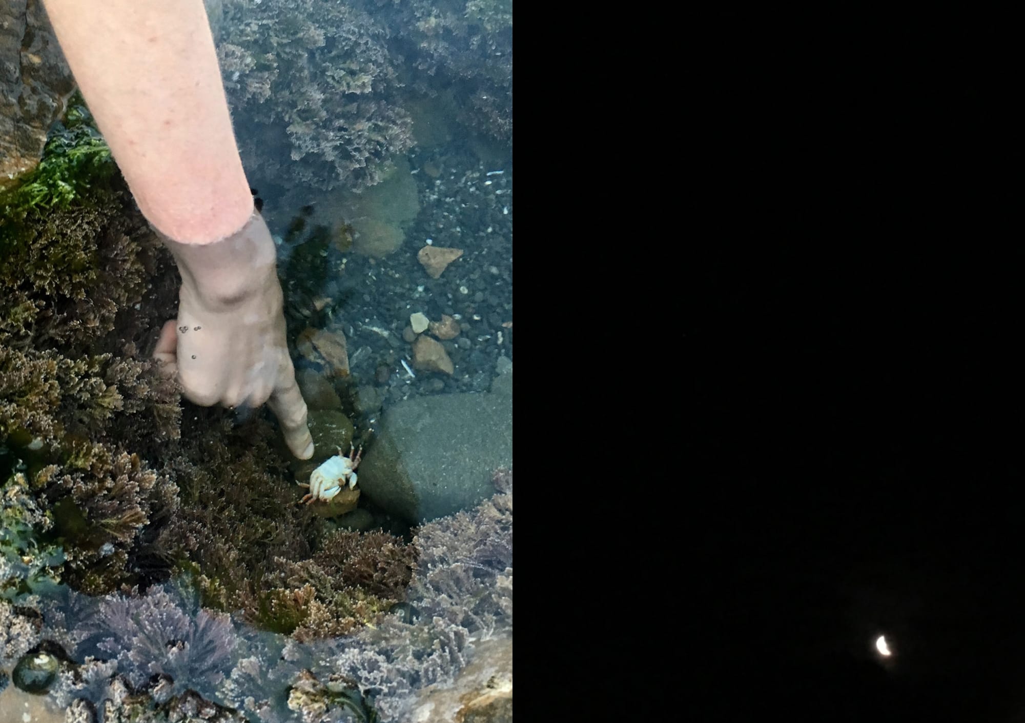 Rob Cherry, Bena Jackson | Golden Light at the Dairy