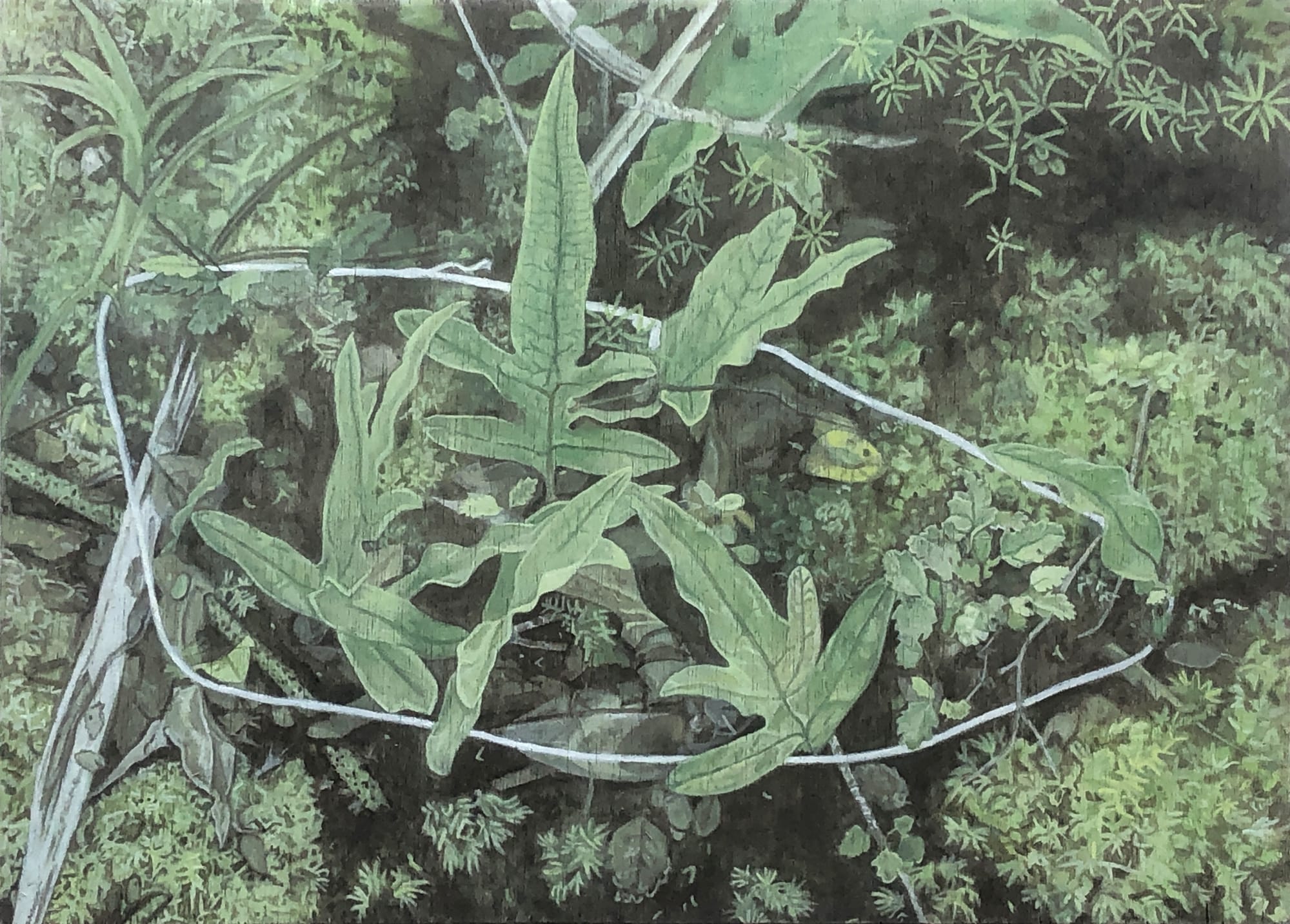 Lily McRae | Breadcrumbs