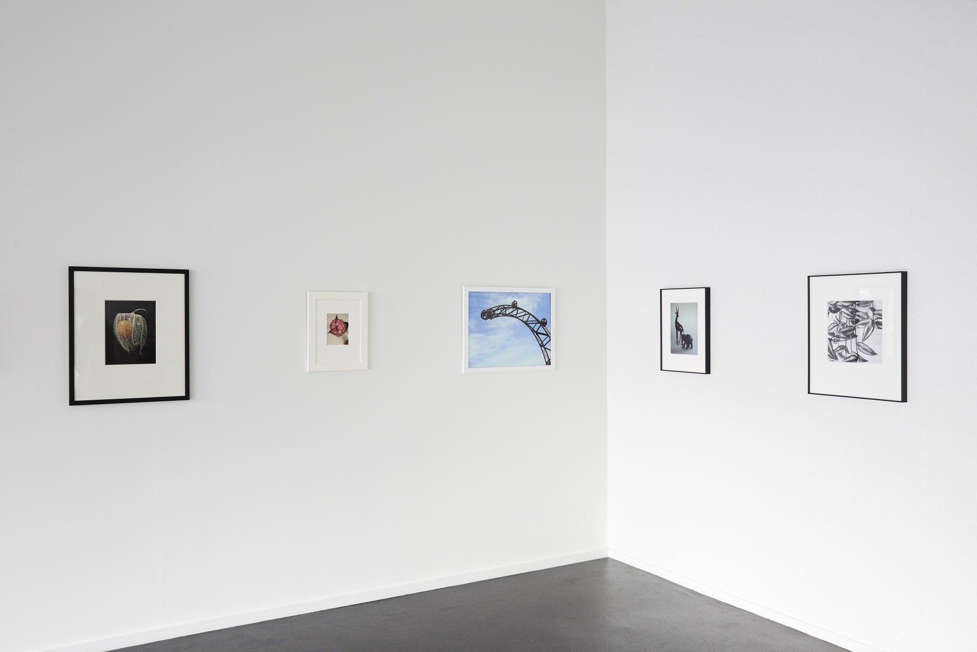 Peter Peryer | Works made 2010 - 2018