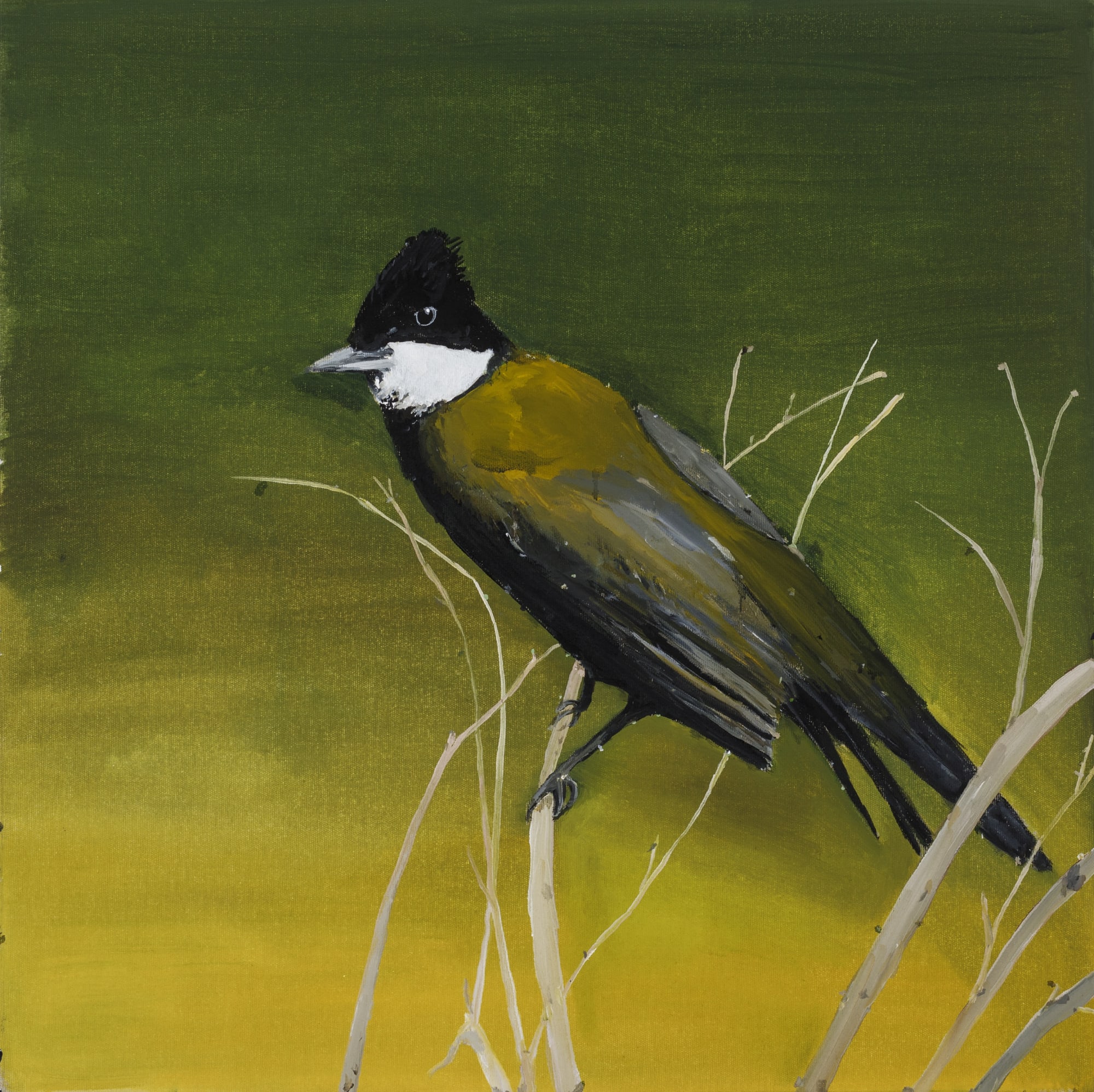 Richard Lewer | You don’t have to wake up fighting every day