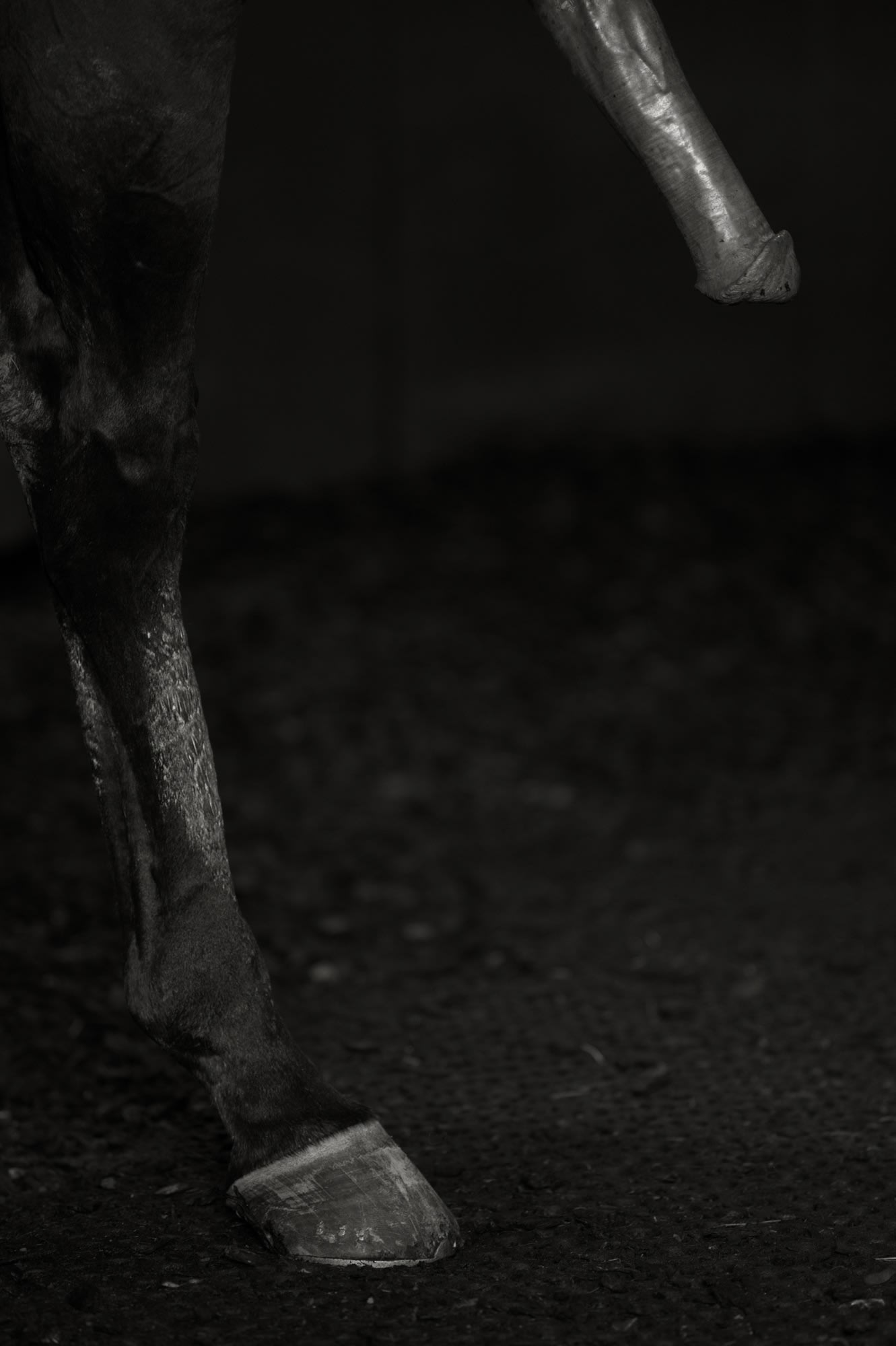 Bruce Connew | Body of Work