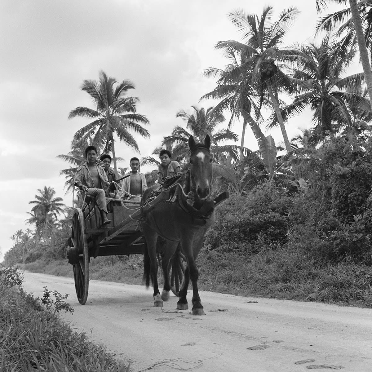 Ans Westra Tonga, 1963, from 'Viliami of the Friendly Islands' Archival pigment inks on Hahnemuhle paper 380 x 380 mm Edition of 25 ______