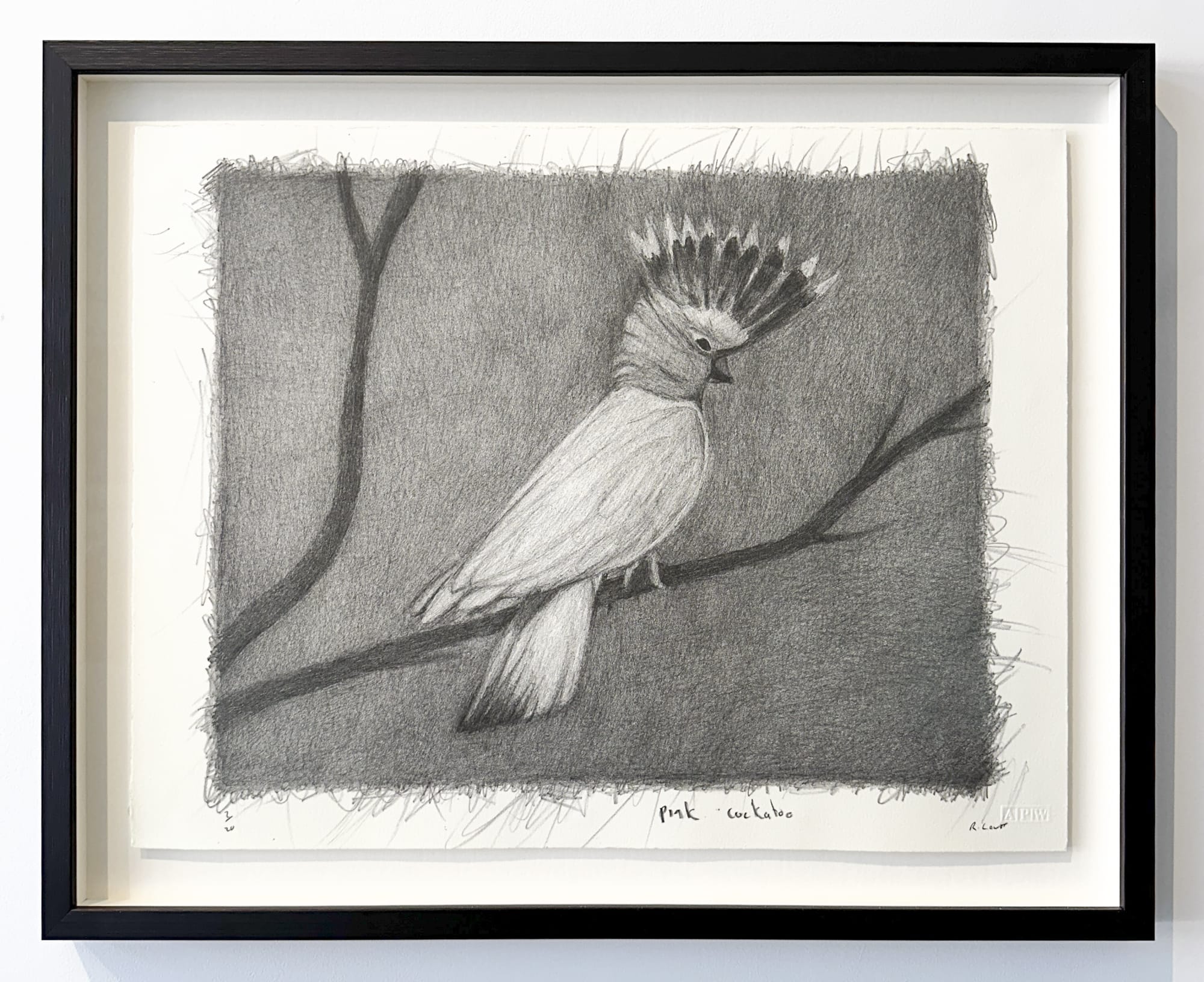 Richard Lewer | Confessions, Chalkboards & Bird Song