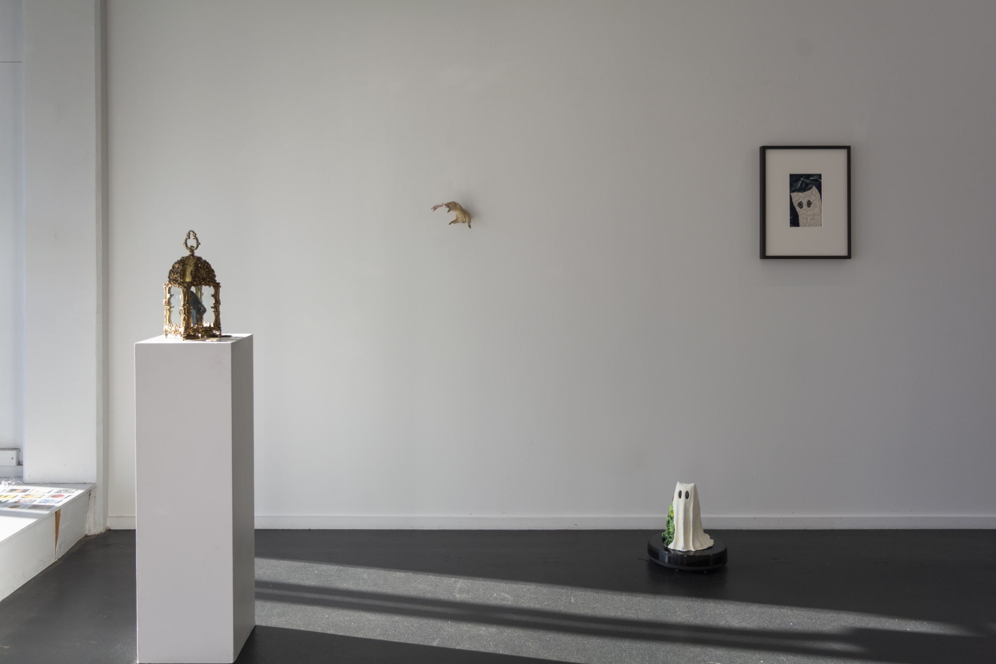 Angela Singer | Soft Star