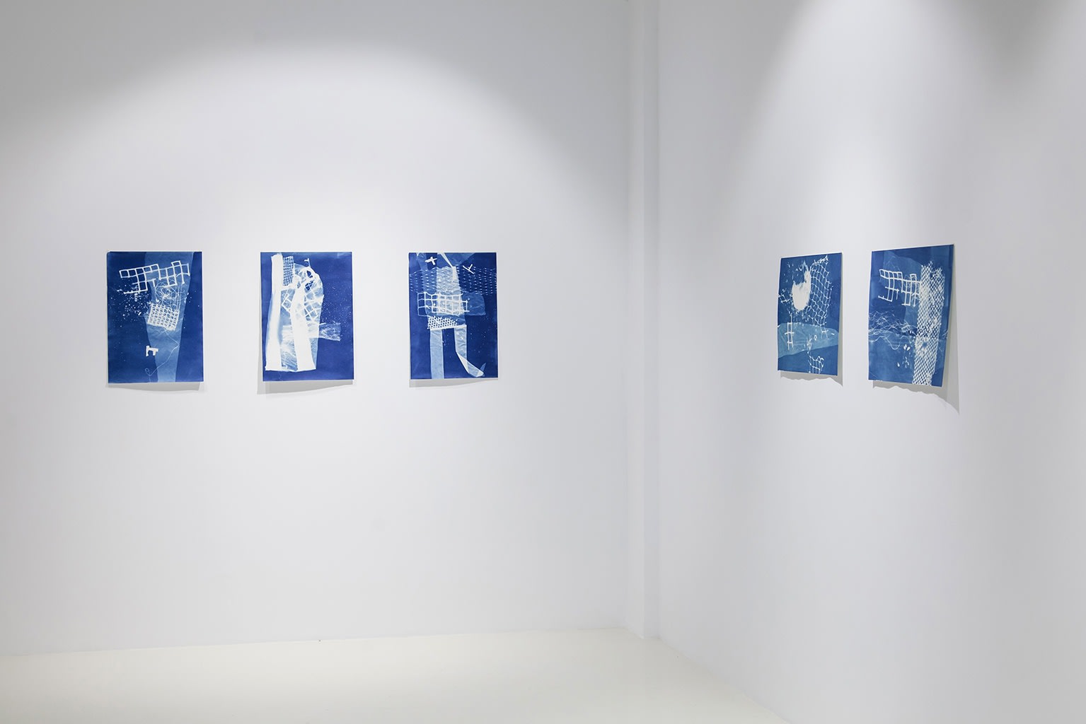 César Schofield Cardoso