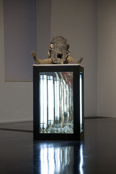 The Four Horsemen of the Apocalypse