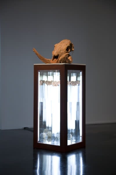 The Four Horsemen of the Apocalypse