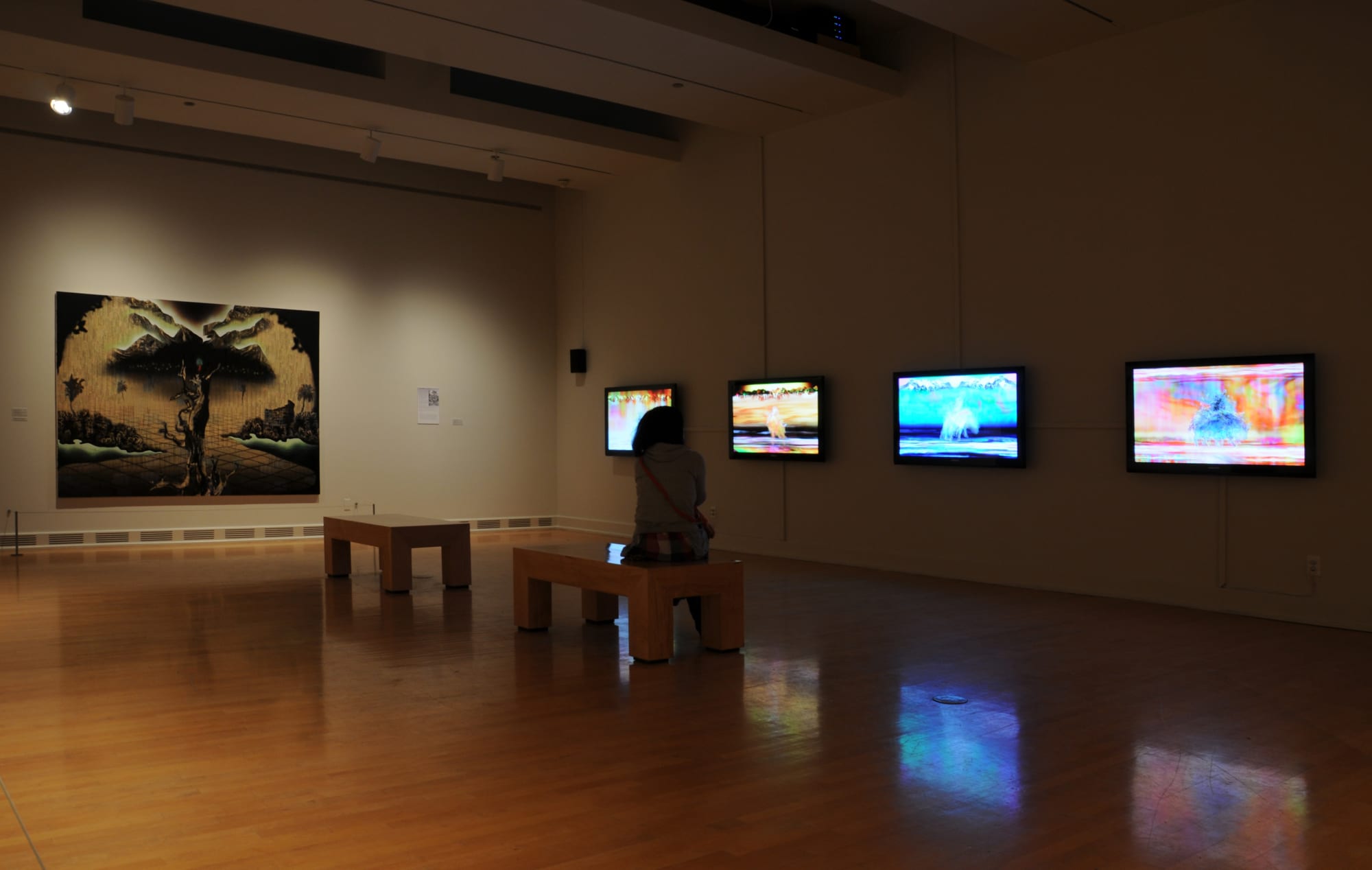 Altered States: Paintings by Gordon Cheung from the Stéphane Janssen Collection