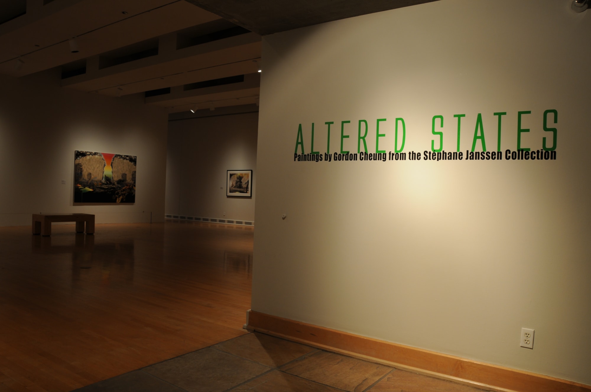 Altered States: Paintings by Gordon Cheung from the Stéphane Janssen Collection