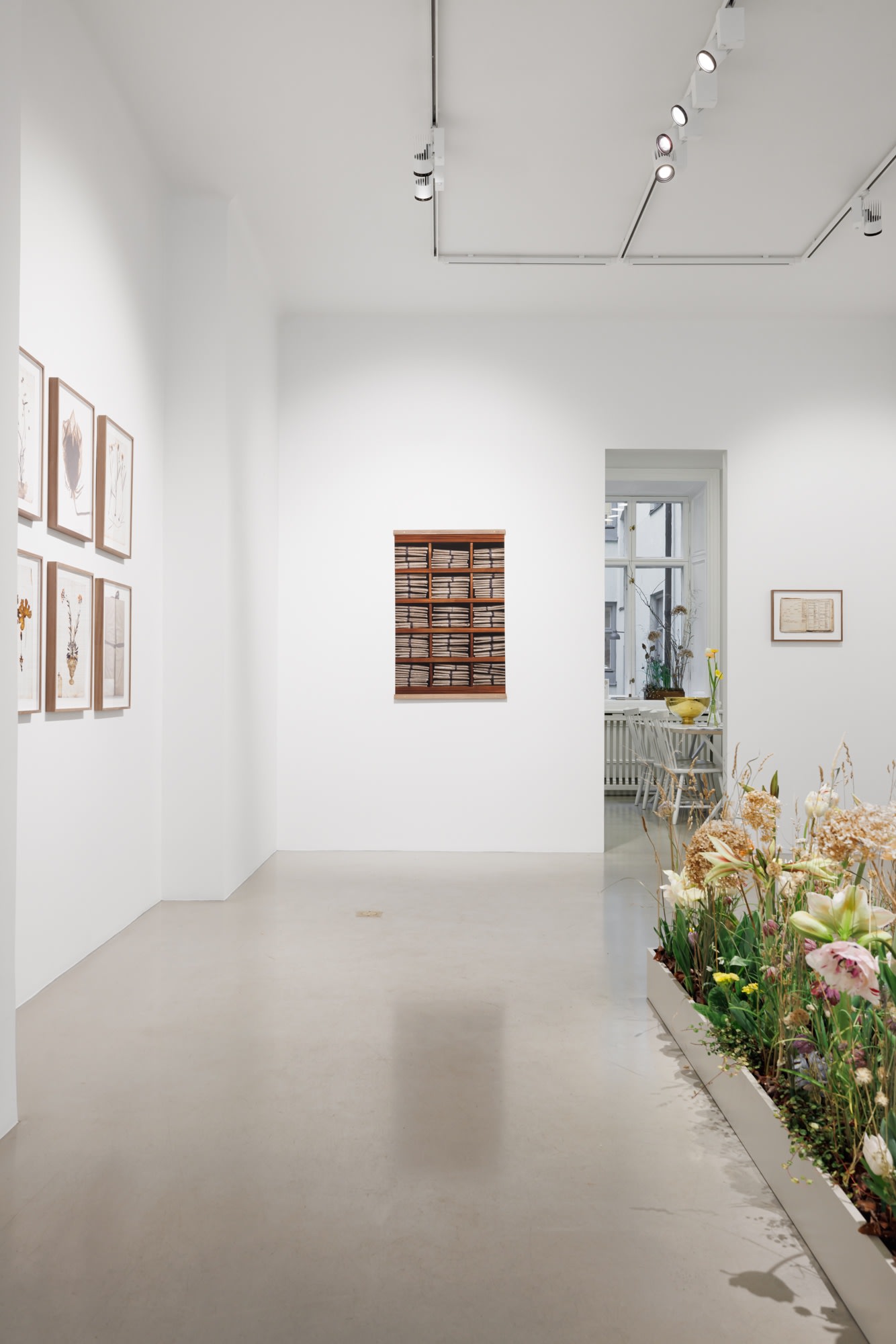 A Linnean collection