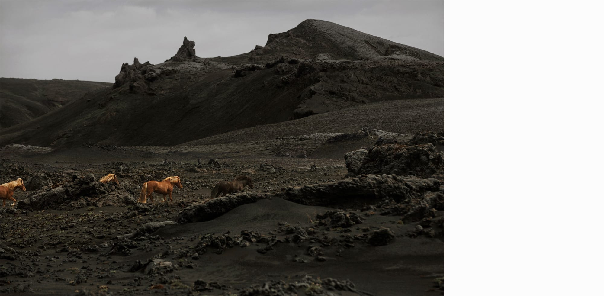 fotografi av susanne walström hästar och svart lava