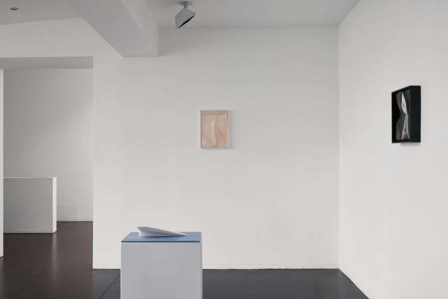 [COLOGNE] ANATOMY OF WORDS II