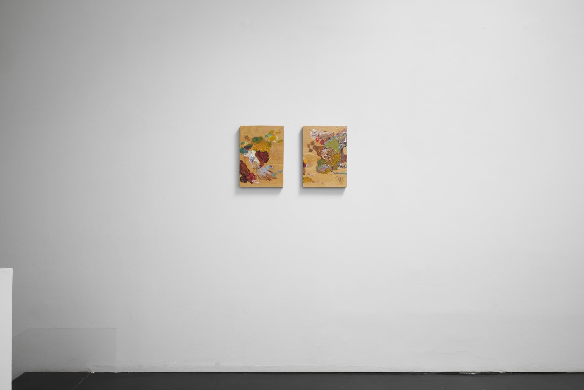 [COLOGNE] ANALOG DISTORTION