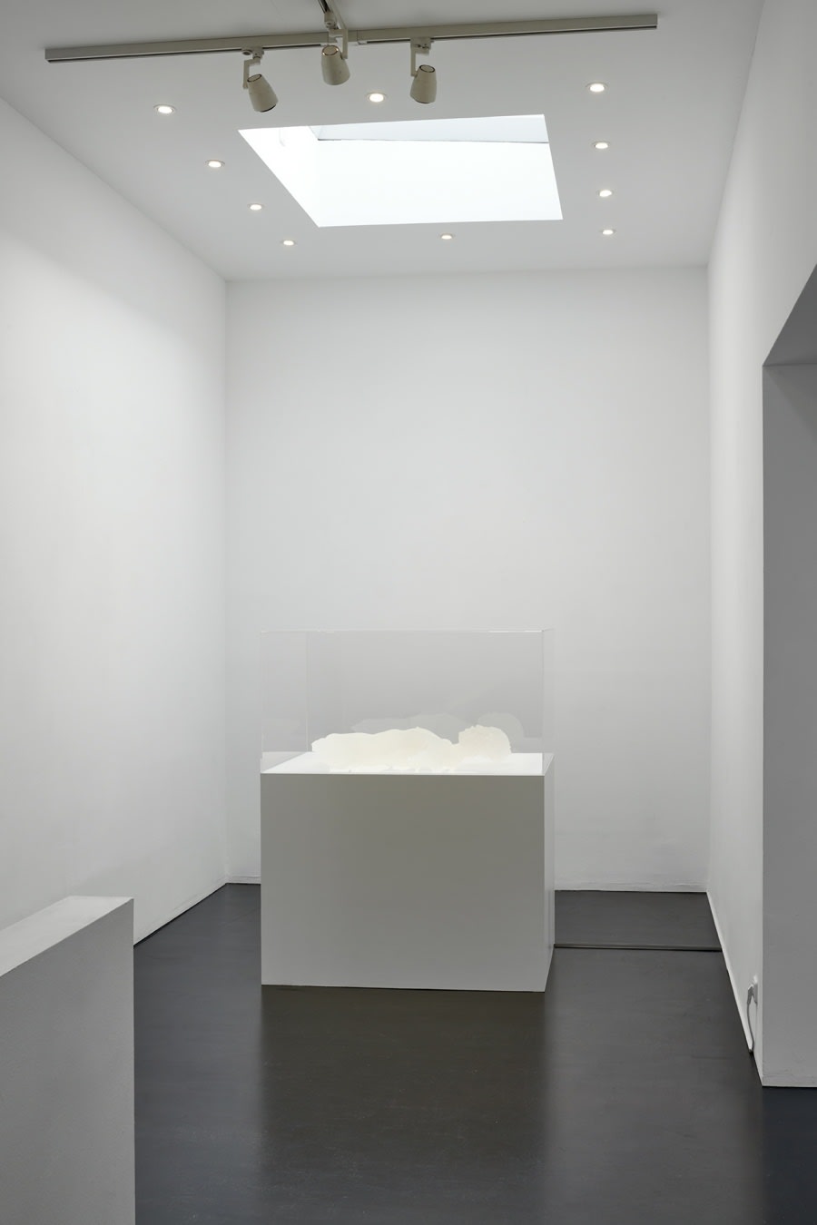 [COLOGNE] SHIFTING MOMENTS