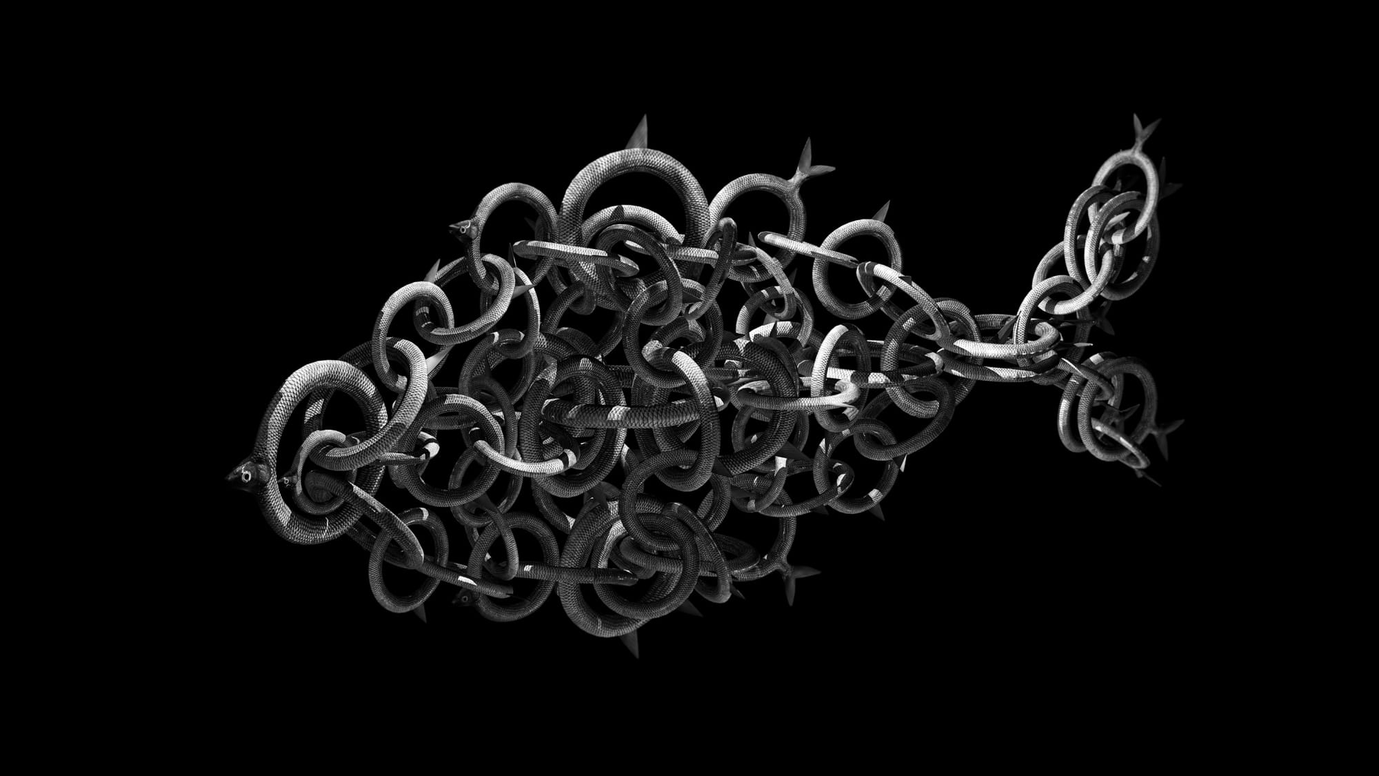 [COLOGNE] SHIFTING MOMENTS