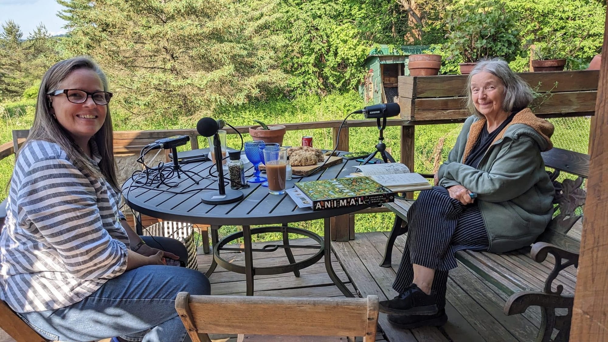 Recording Season 3, Episode 39 of the Platemarking Podcast. Ann Shafer and Sue Coe, June 3, 2023