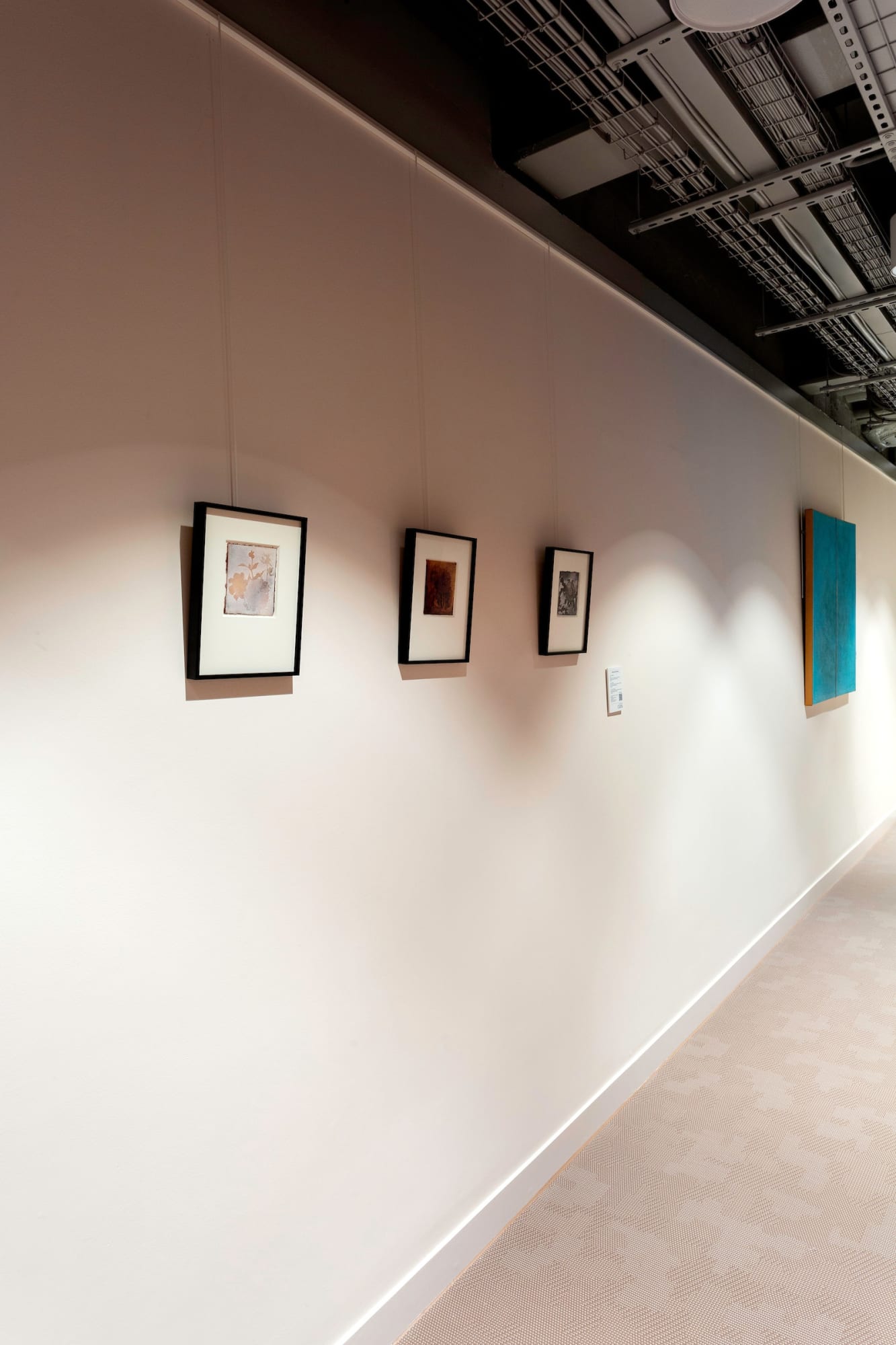 Image credit: Demelza Lightfoot Photography