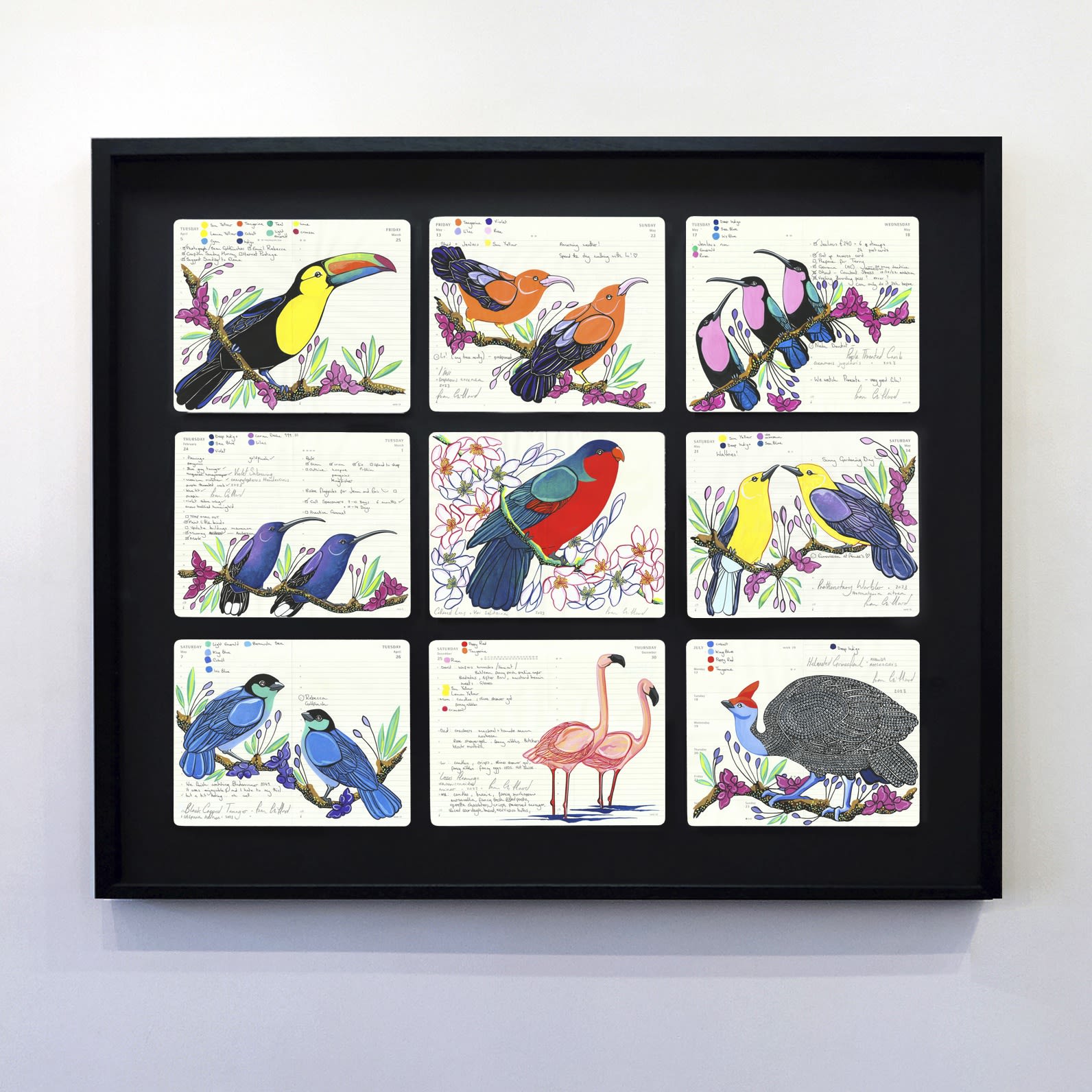 Presentation of Fran Giffards' beautiful bird artworks