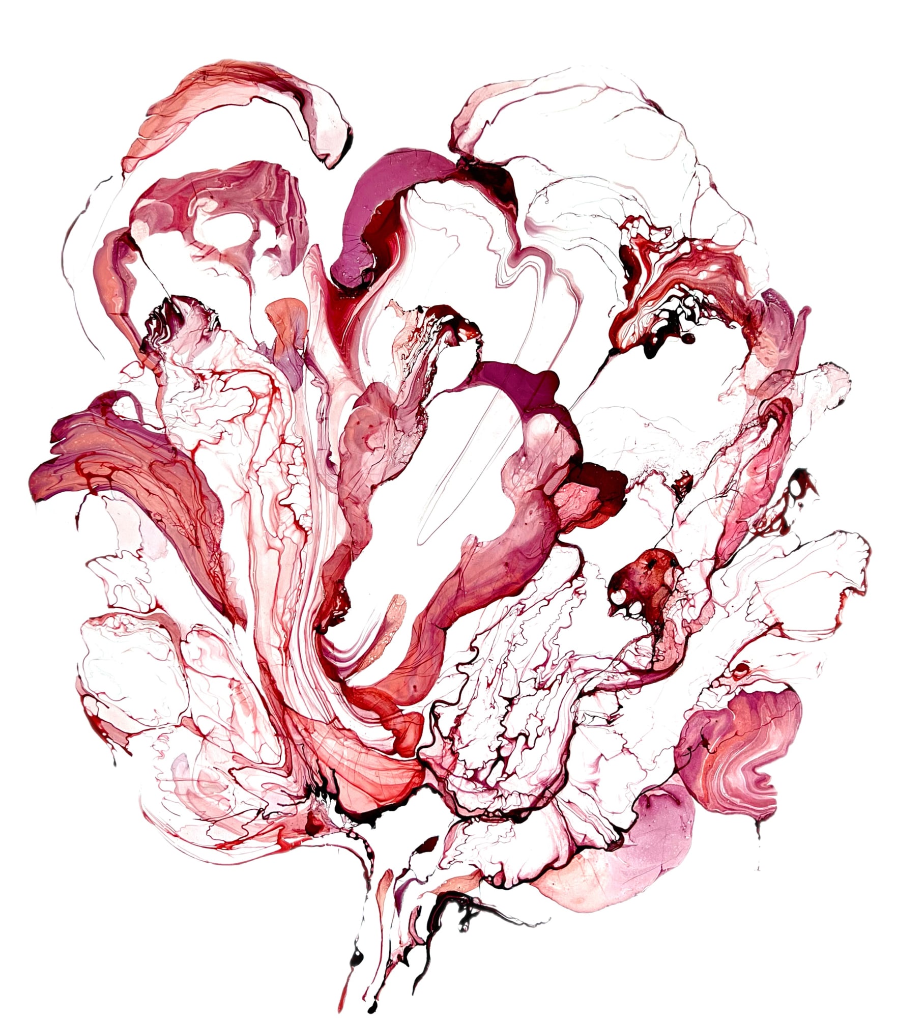 Marianna Bettini, Floral Cosmos, 2024