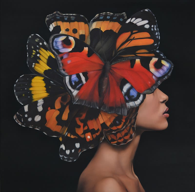 Amy Judd, Peacock Messenger, 2024