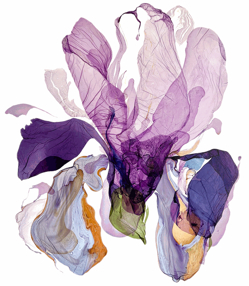 Marianna Bettini, Spring Awakenings, 2024