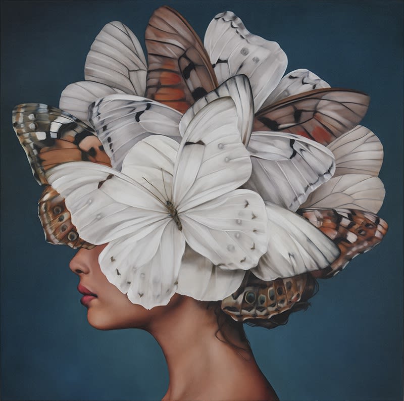 Amy Judd, The Butterfly Collector , 2024