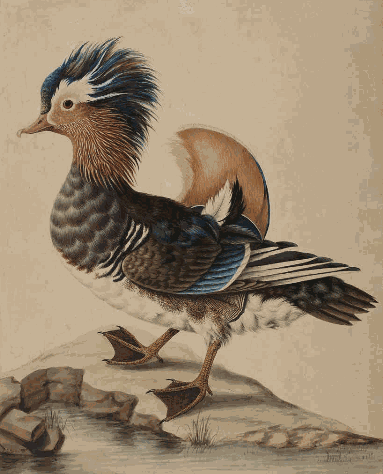 FOUR CENTURIES OF BRITISH AND FRENCH WORKS ON PAPER