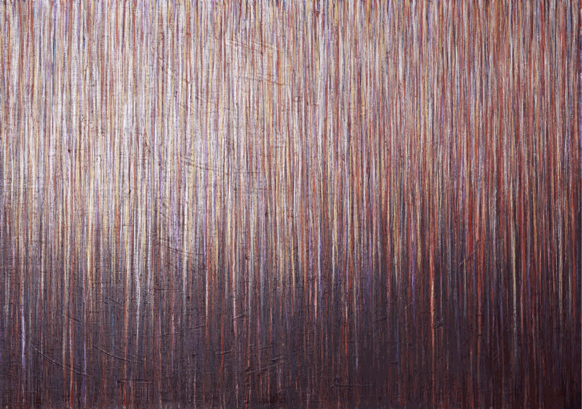 LARA JULIAN | Optical Adventures