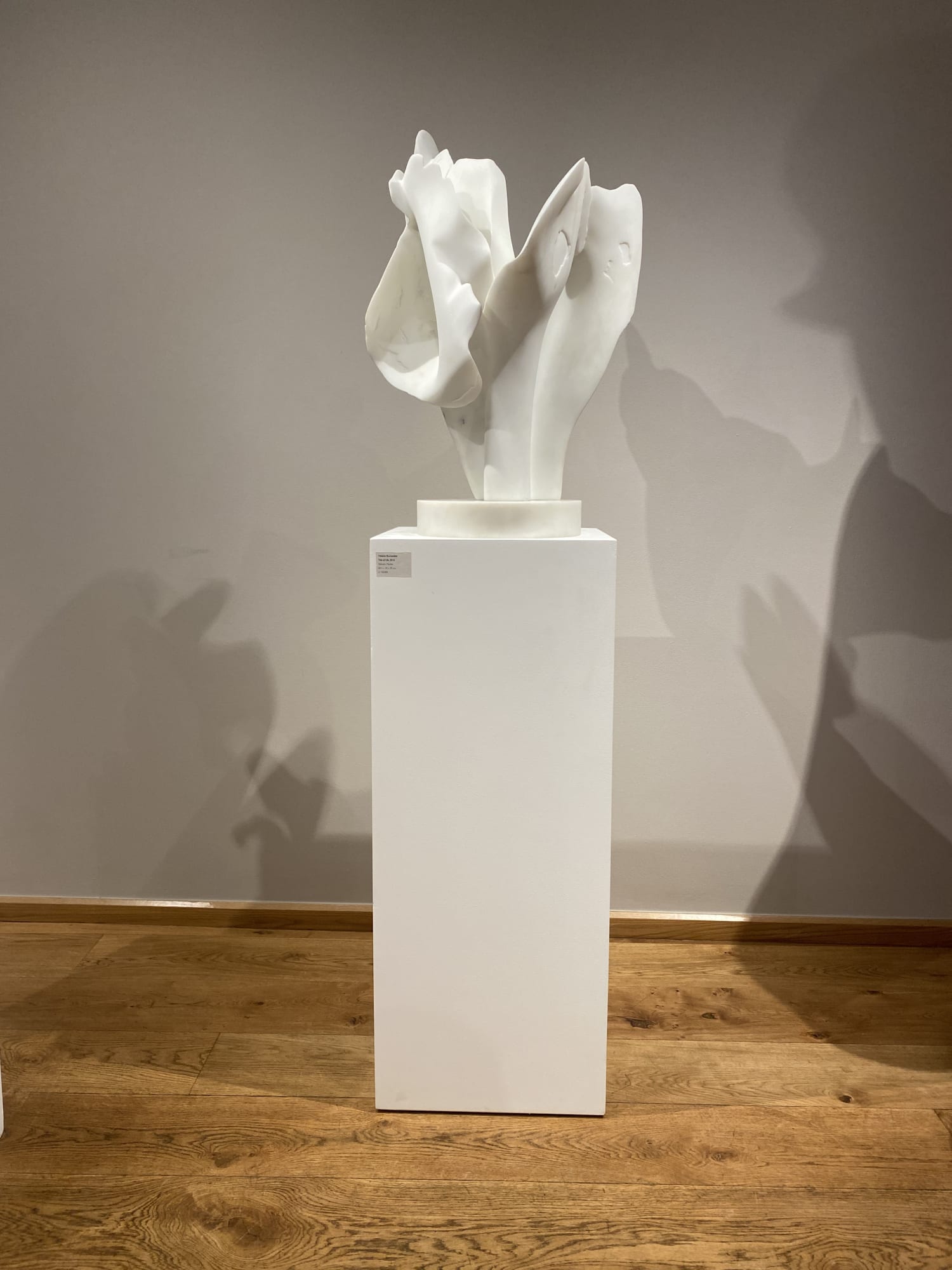 TOGETHER | Helaine Blumenfeld OBE