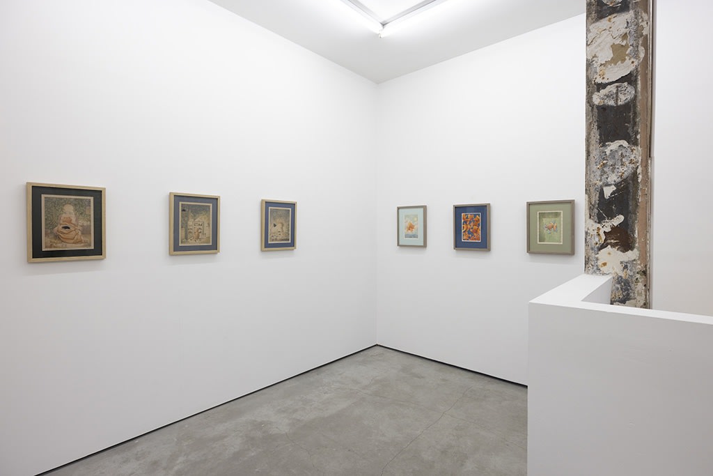 installation shot of "Strange Pain" exhibition by Felicia Chiao