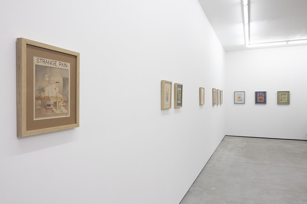 installation shot of "Strange Pain" exhibition by Felicia Chiao