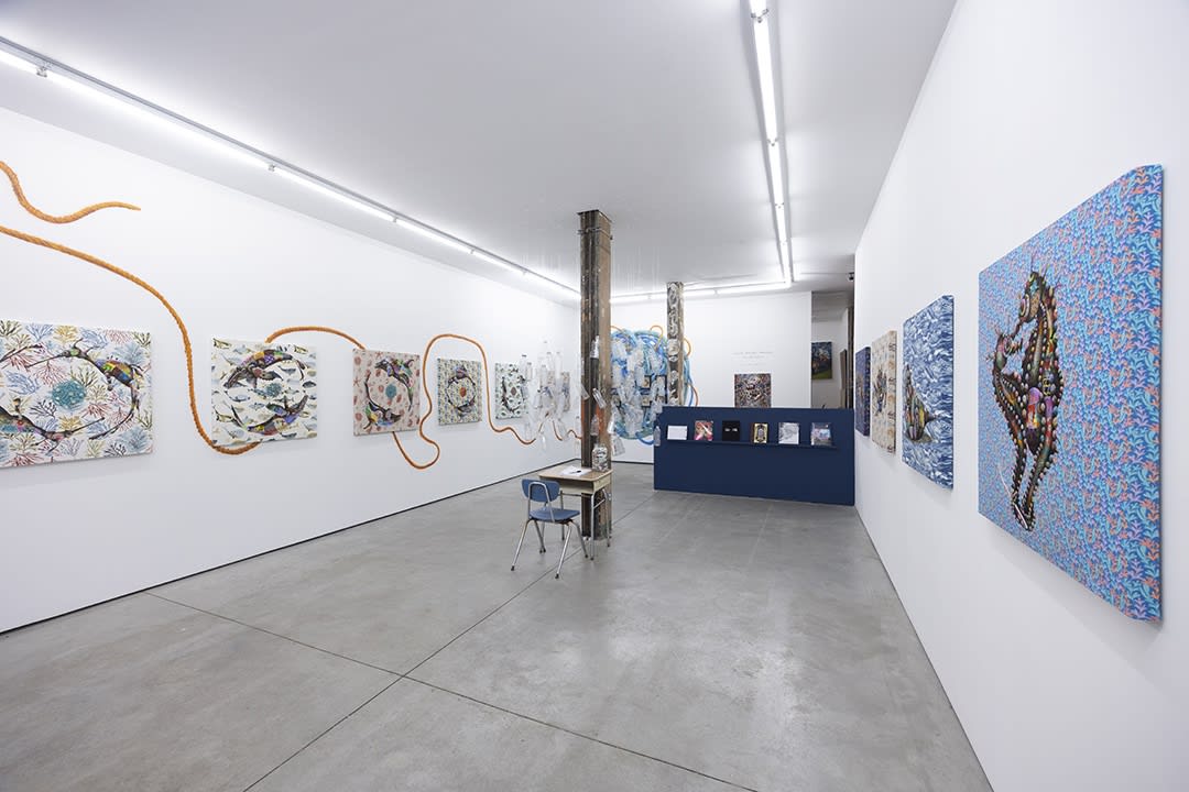 Installation image of Louis Masai exhibition