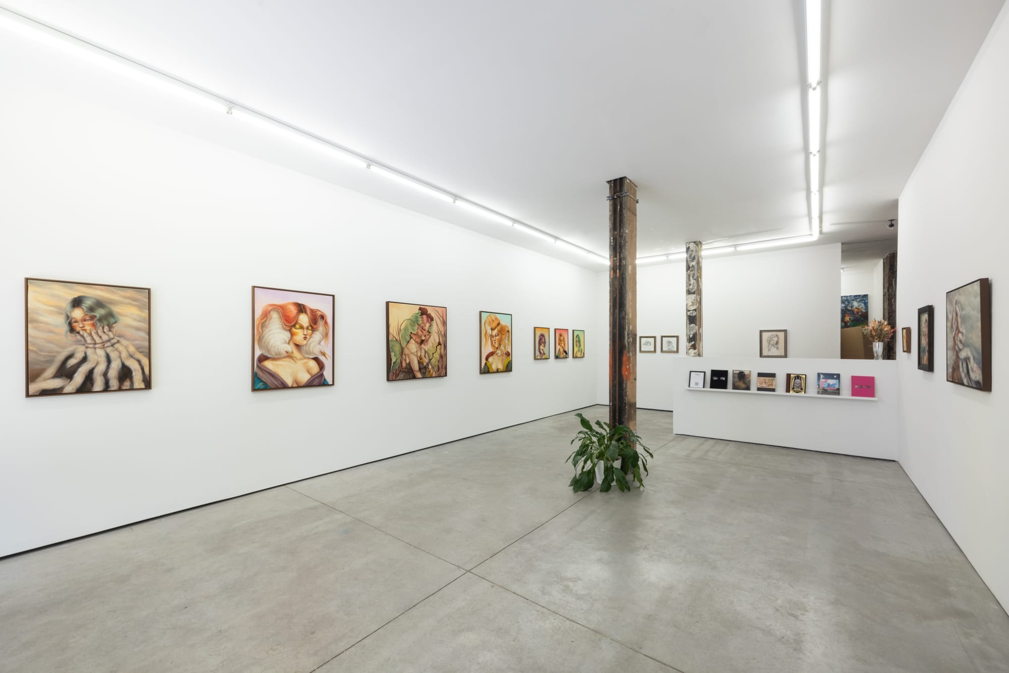 Installation image from Miss Van's "Evanescent Splendor"