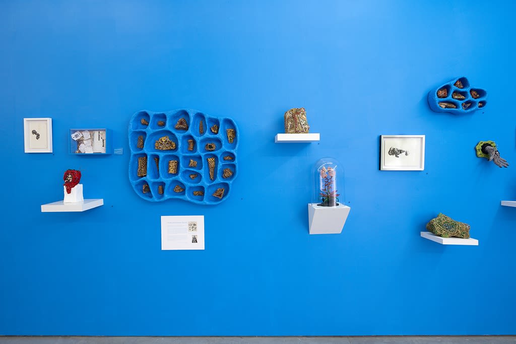 installation shot of Caitlin McCormack exhibition