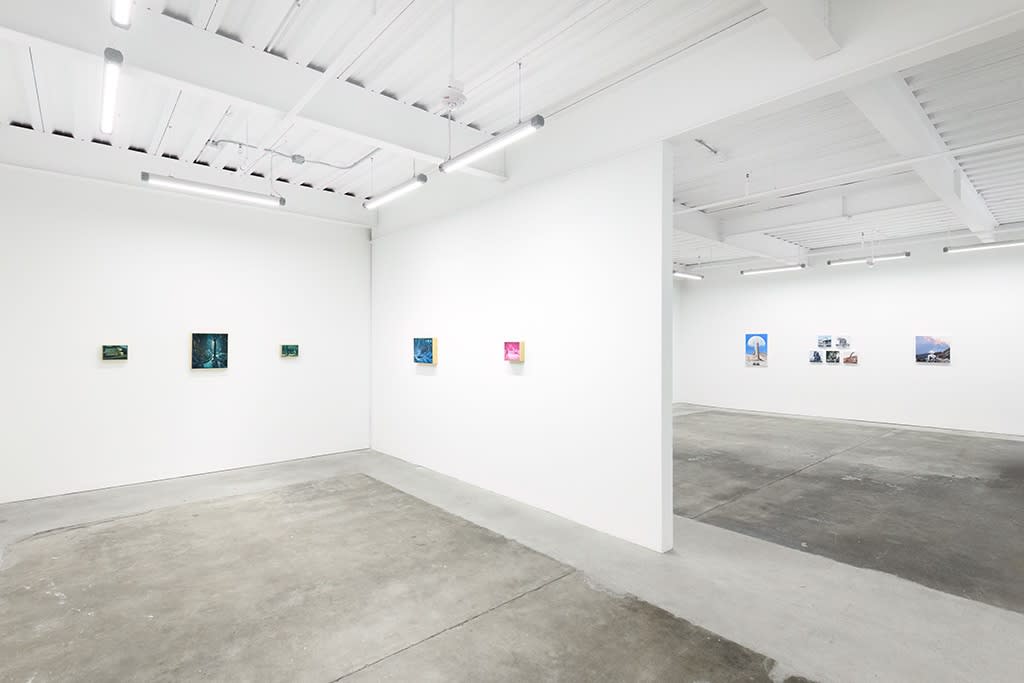 Installation view of Chris Austin's solo exhibition "CONTRASTS" at Harman Projects, San Francisco
