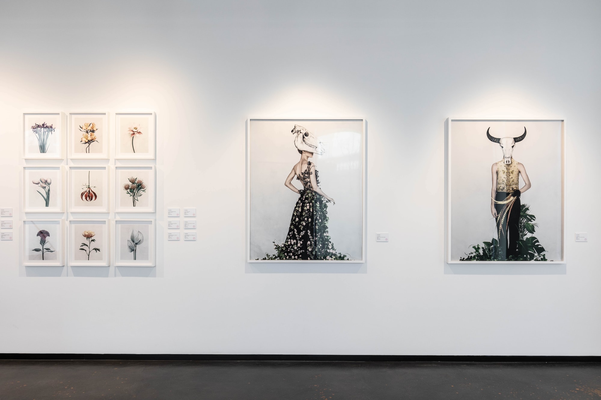 Fashioned from Nature