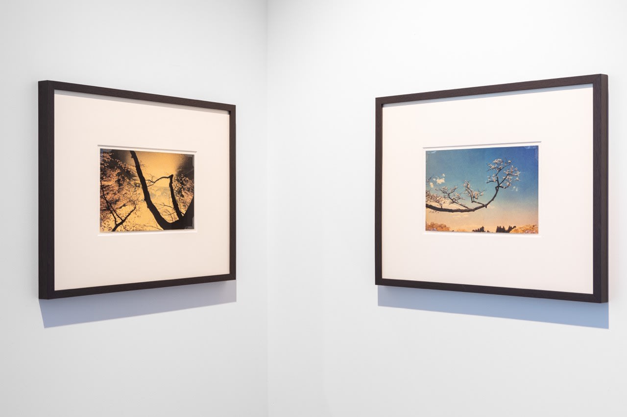 The Mouth of Krishna